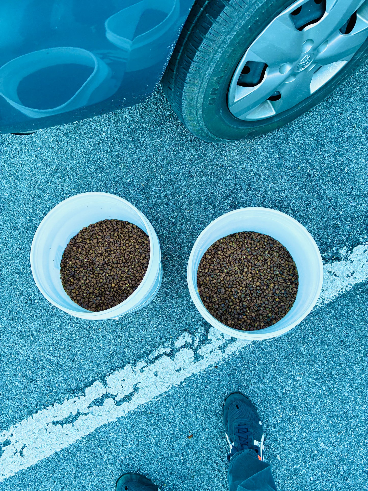 COLUMBIA / MEXICO - Medium Roast (10oz.)