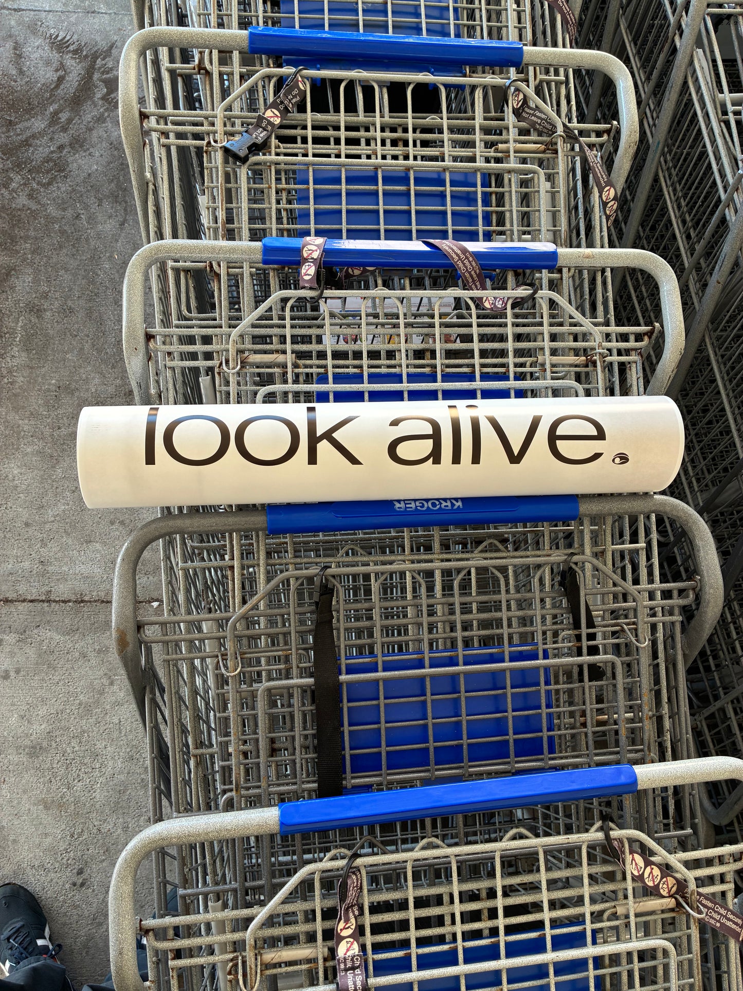 “Look Alive” Ad (Poster)