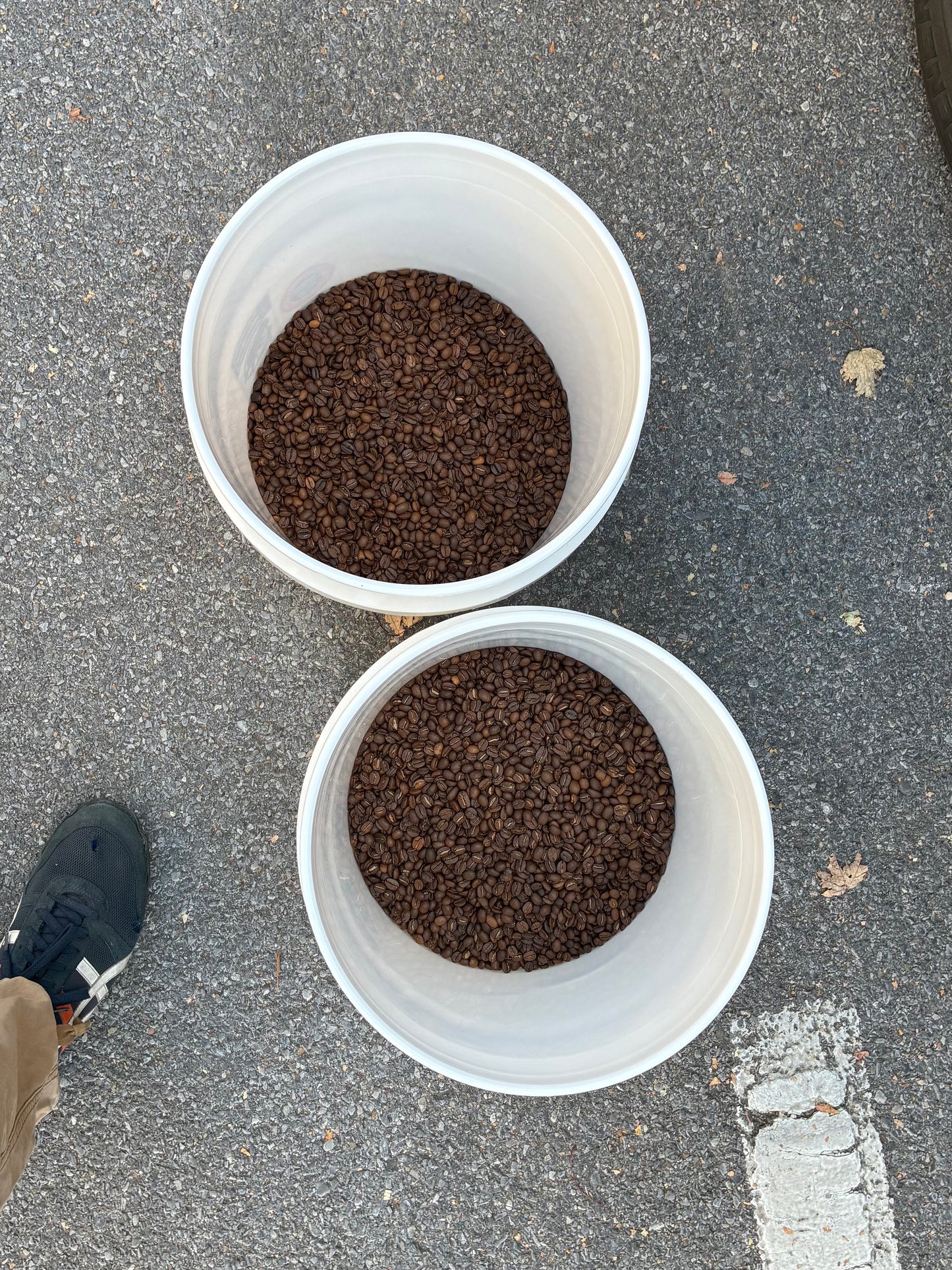 Canopy Coffee - Mexico / Columbia Blend (10oz.)